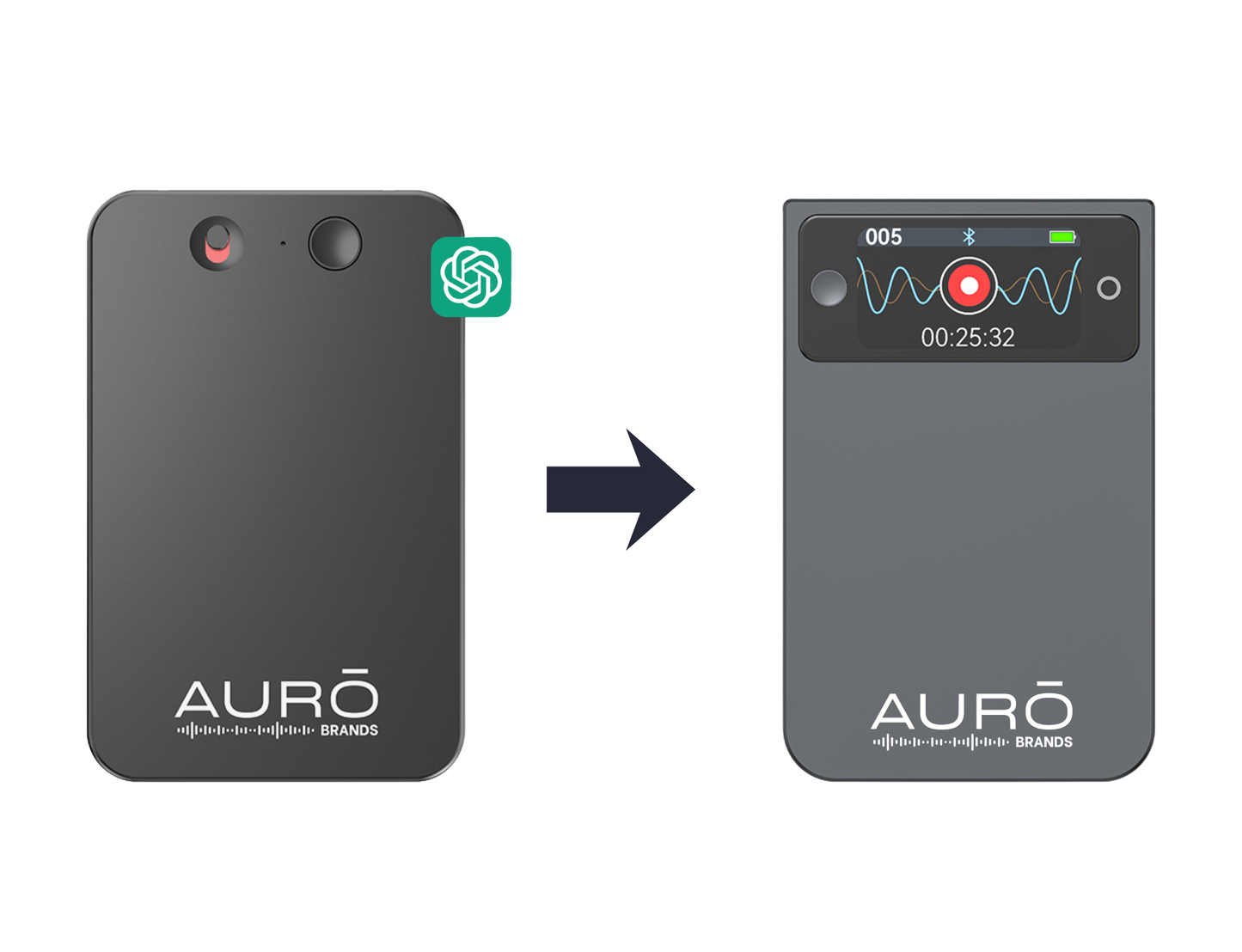 Upgrade to AuroNote Pro